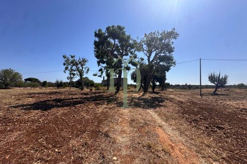 Ruinere i Carovigno, Brindisi, Carovigno - € 385.000 | Ref: Proprietà Pinea - foto 29